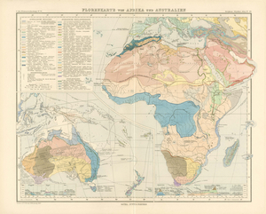 Oscar Drude, Florenkarte von Afrika und Australien, 1887