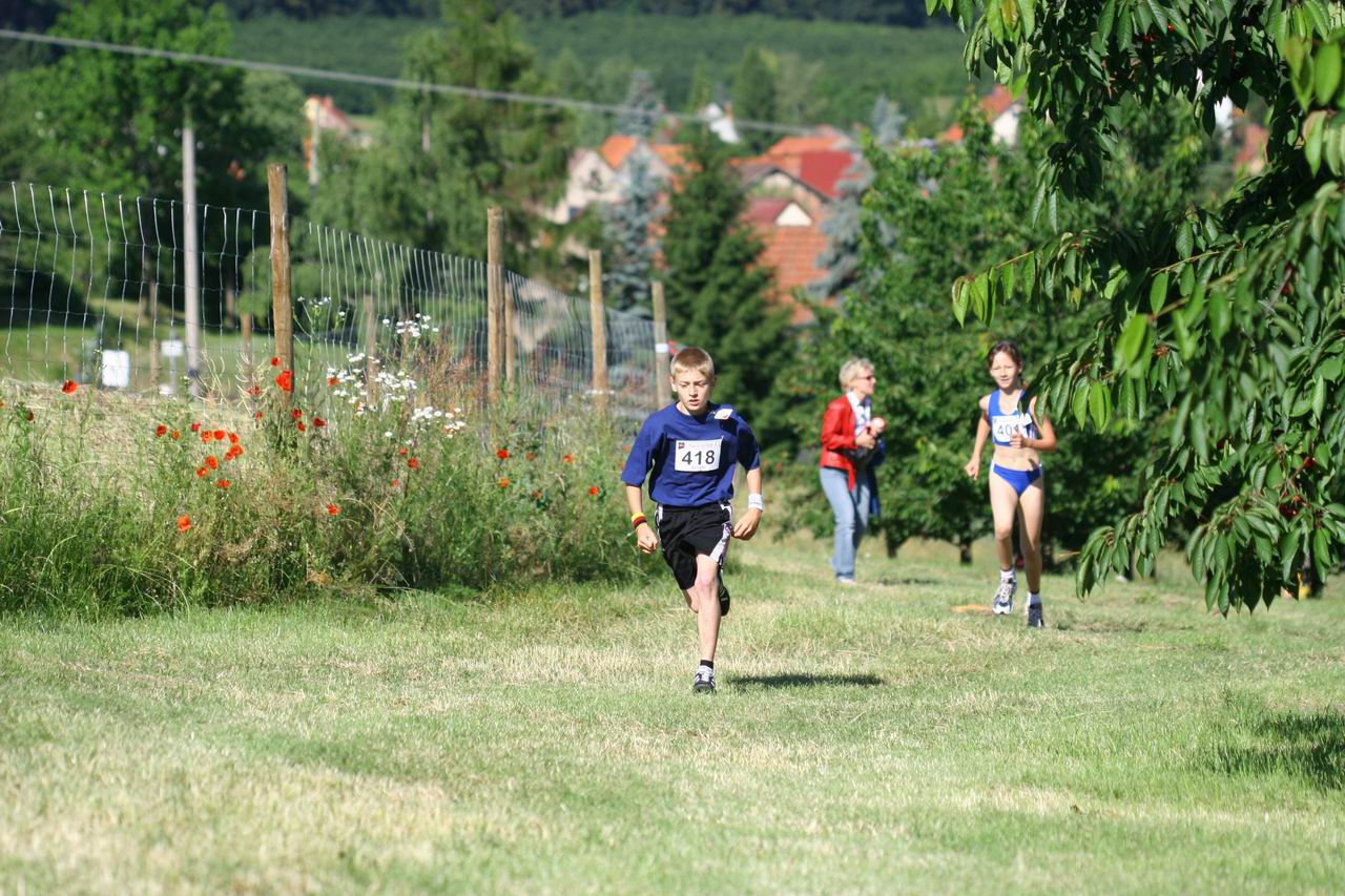 IMG_3050.jpg