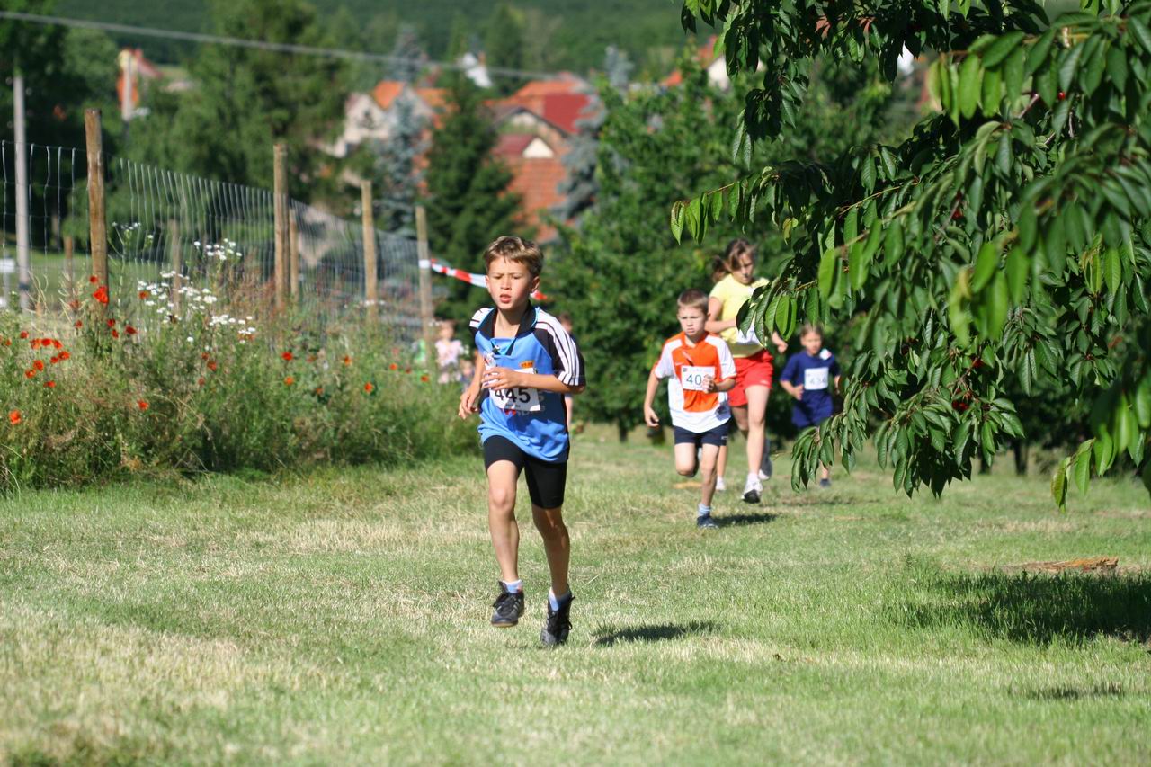 IMG_3067.jpg