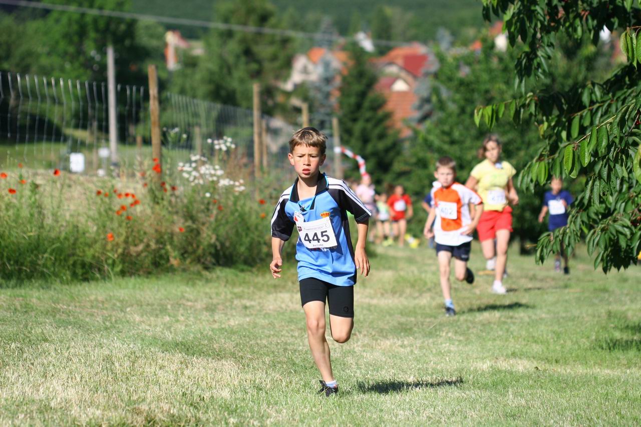 IMG_3069.jpg