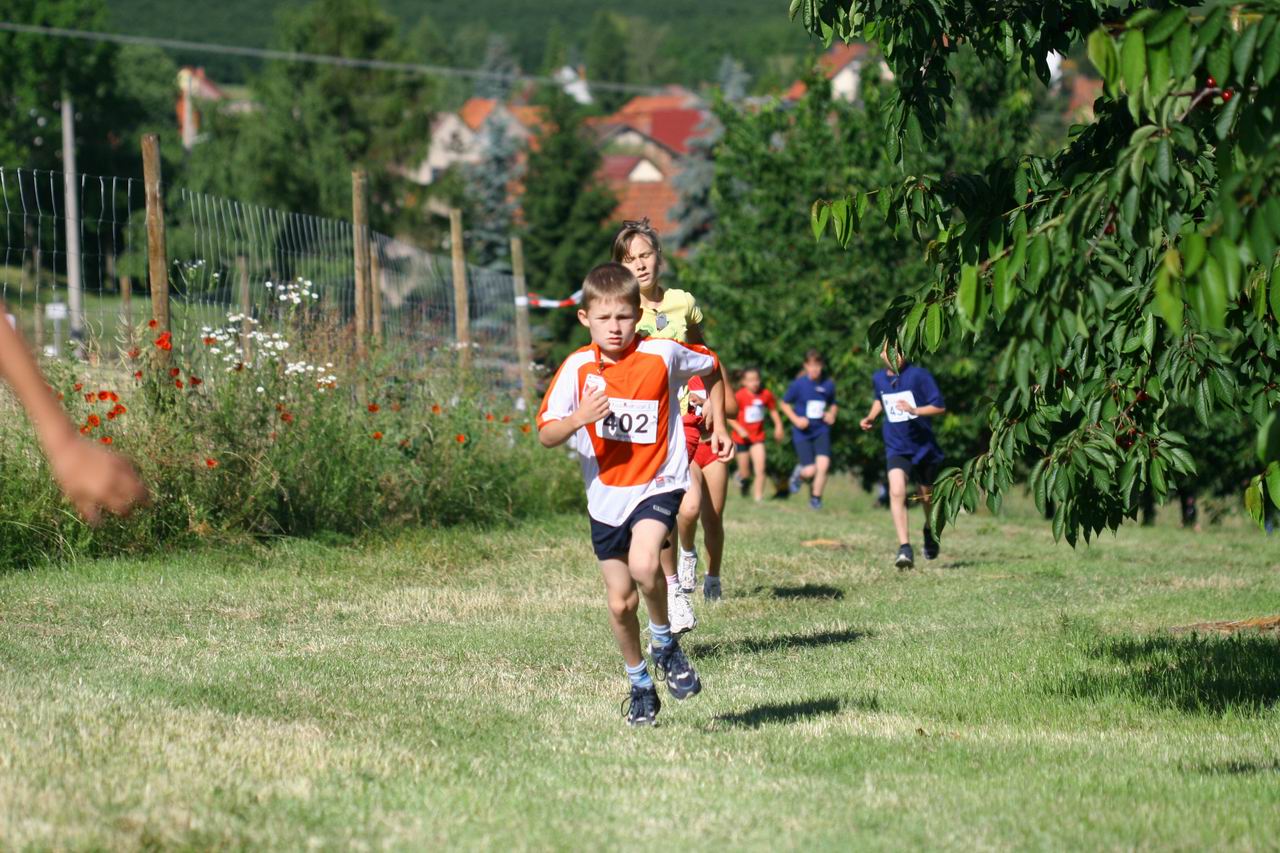 IMG_3070.jpg