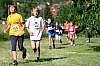 IMG_3088.jpg IMG_3088.jpg