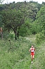 IMG_3186.jpg IMG_3186.jpg
