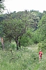 IMG_3190.jpg IMG_3190.jpg